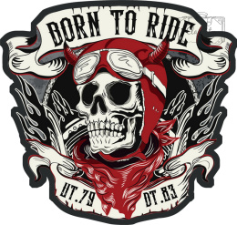Tablica Tabliczka Blacha Ozdobna Born To Ride Skull Motocycle Vintage