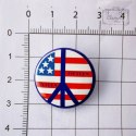 Przypinka Pacyfka Ameryka Usa Metal Pin 2
