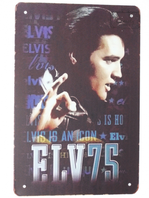 Tabliczka Ozdobna Blacha Elvis Retro Vintage