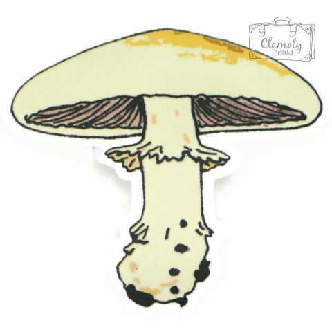 Zestaw Naklejek Sticker Bomb Wlepy Grzyby Wlepki n84