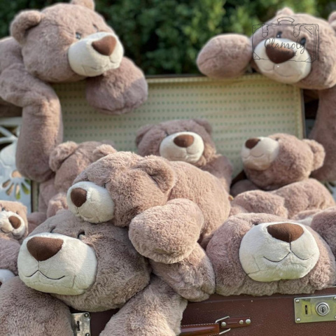 Maskotka Bear Pluszak Miś Pluszowy Brązowy 50cm