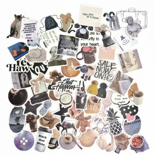 Wlepki Naklejki Sticker Bomb Guzik Szalony Mix N161