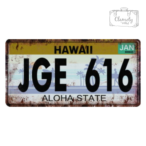Tablica Ozdobna Blacha Hawaii JGE 616 Aloha State Retro Vintage