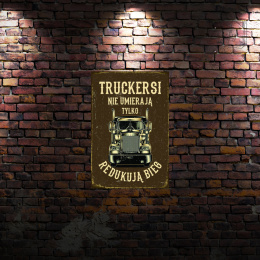 Tablica Ozdobna Blacha Truck Truckers Tir Retro Vintage