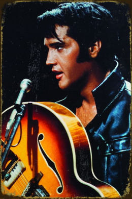 Tablica Ozdobna Blacha Elvis Presley Singer Two Concert Retro Vintage
