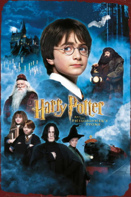 Tablica Ozdobna Blacha Harry Potter I Kamień Retro Vintage
