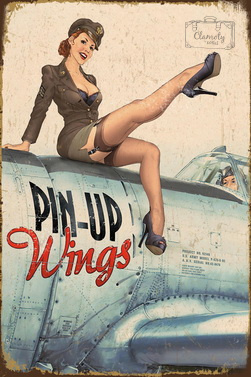 Tablica Ozdobna Blacha Pin-Up Wings Airplane Retro Vintage