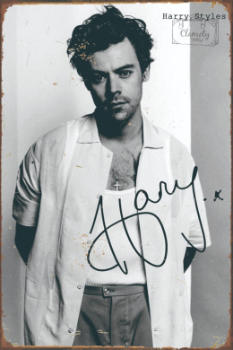 Tablica Ozdobna Blacha 20x30 cm Harry Styles Autograf Retro Vintage