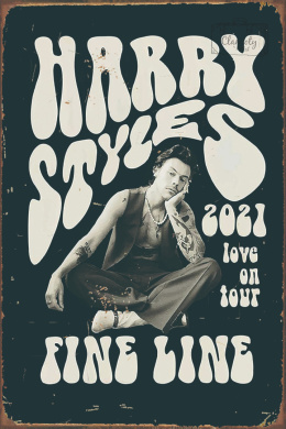Tablica Ozdobna Blacha 20x30 cm Harry Styles Fine Line Tour Retro Vintage