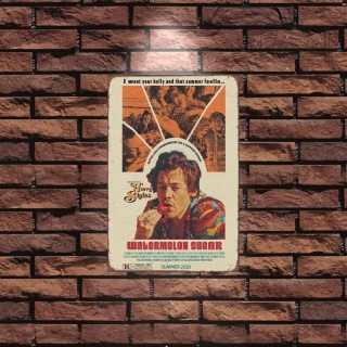 Tablica Ozdobna Blacha 20x30 cm Harry Styles Watermelon Sugar Retro Vintage