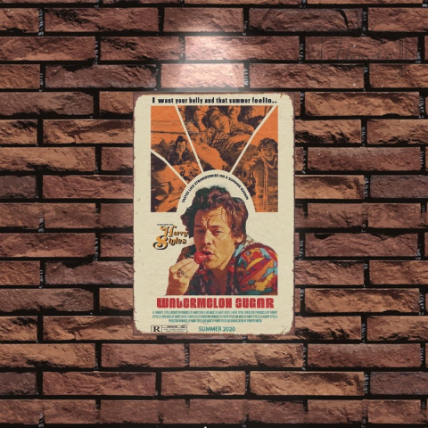 Tablica Ozdobna Blacha 20x30 cm Harry Styles Watermelon Sugar Retro Vintage