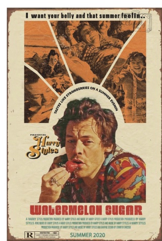 Tablica Ozdobna Blacha 20x30 cm Harry Styles Watermelon Sugar Retro Vintage