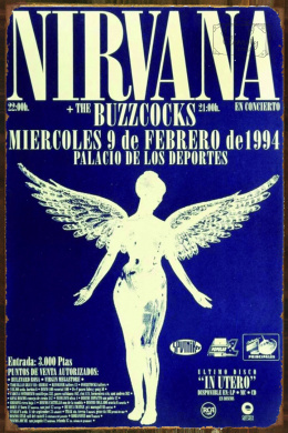 Tablica Ozdobna Blacha 20x30 cm Nirwana Plakat koncert 1994 Retro Vintage