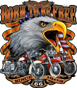 Tablica Tabliczka Blacha Ozdobna Born To Be Ride Eagle Motor Vintage