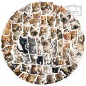 Zestaw Naklejek Wlepki StickerBomb Słodkie Kotki Kot Cats Sweet Mix N449