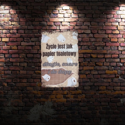Tablica Ozdobna Blacha Życie Jest Jak Papier Toalet 20x30 cm Retro Vintage