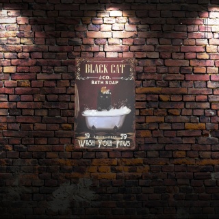 Tablica Ozdobna Blacha Wash Your Paws Cat Kot Joke 20x30 cm Retro Vintage