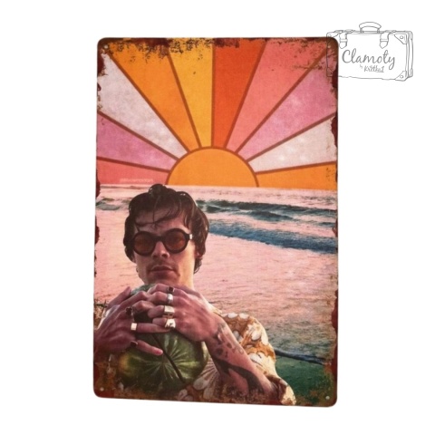 Tablica Ozdobna Blacha Harry Styles Morze 20x30 cm Retro Vintage Plakat