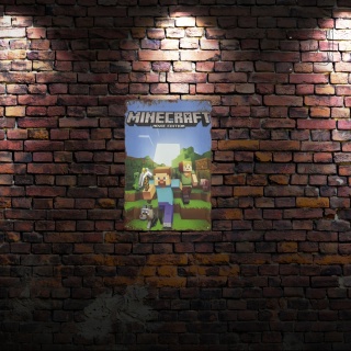 Tablica Ozdobna Blacha Minecraft Game Gra 20x30 cm Retro Vintage