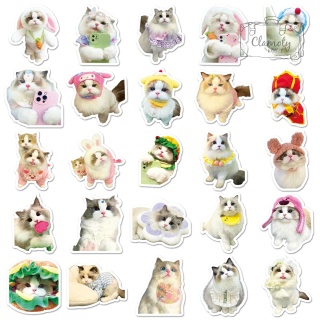 Zestaw Naklejek Wlepki StickerBomb Koty Cats Kotki Kicie Kot 6 N644