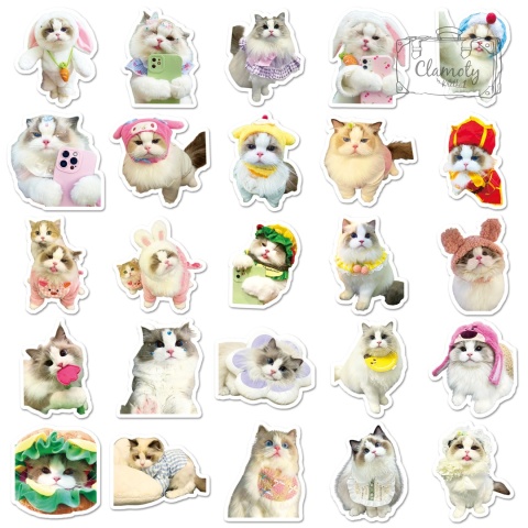 Zestaw Naklejek Wlepki StickerBomb Koty Cats Kotki Kicie Kot 6 N644