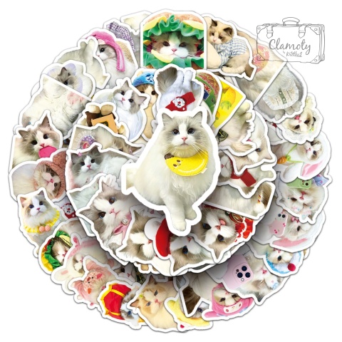 Zestaw Naklejek Wlepki StickerBomb Koty Cats Kotki Kicie Kot 6 N644