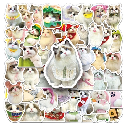 Zestaw Naklejek Wlepki StickerBomb Koty Cats Kotki Kicie Kot 6 N644