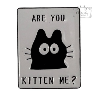 Metalowa Przypinka Are You Kitten Me Kotek Cat Koty Pin