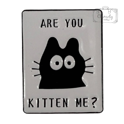 Metalowa Przypinka Are You Kitten Me Kotek Cat Koty Pin