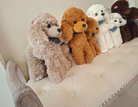 Maskotka Pluszowa Pluszak Zabawka Pies Piesek Pudelek Karmelowy 25Cm